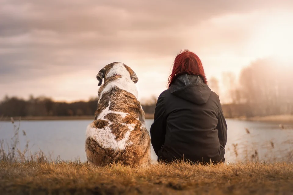 From Predators to Good Boys: Why Dogs Became Man’s Best Friends